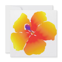 Red and Yellow Hibiscus Bloom