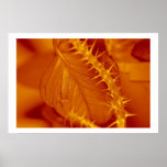 Red and Yellow Leaf Posters