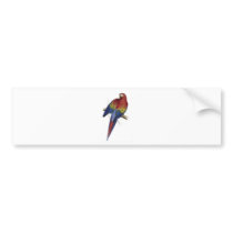 Red and Yellow Maccaw by Edward Lear Bumper Stickers
