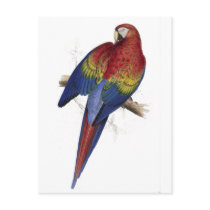 Red and Yellow Maccaw by Edward Lear Postcards