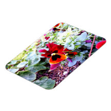 Red And Yellow Pansy Rectangle Magnets