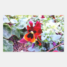 Red And Yellow Pansy Sticker