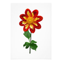 Red and Yellow Single Dahlia Custom Invite