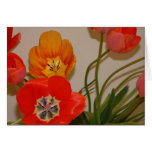 red and yellow tulips cards