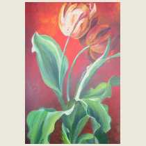 Red and Yellow Tulips t-shirts
