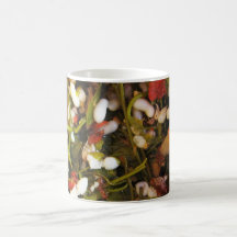 Red Ant Egg Salad ... Thai Street Food Coffee Mug