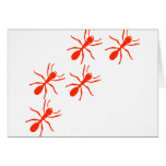 red ant trail cards