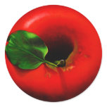 Red Apple Design stickers