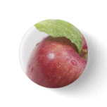 Red Apple Green Leaf buttons