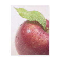 Red Apple Green Leaf Postcards