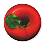 . Red Apple Magnets