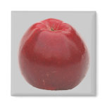 Red apple magnet