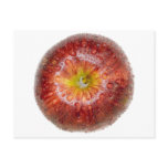 Red apple top view post cards