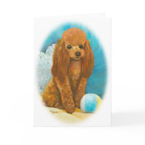 Red Apricot Poodle with Ball