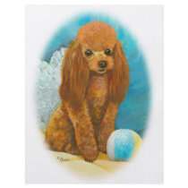 Red Apricot Poodle with Ball