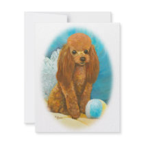 Red Apricot Poodle with Ball