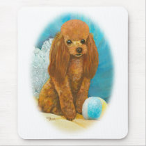 Red Apricot Poodle with Ball