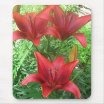 Red Asiatic Lilly IMG_1031 Mouse Pad