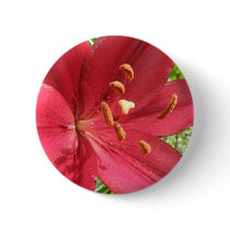 Red Asiatic Lily