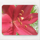 Red Asiatic Lily Mouse Pad