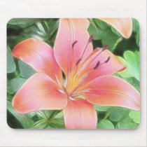 Red Asiatic Lily