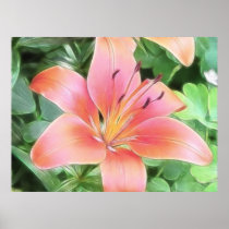 Red Asiatic Lily