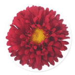 Red Aster Floral Sticker / Envelope Seal