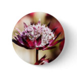 Red Astrantia buttons