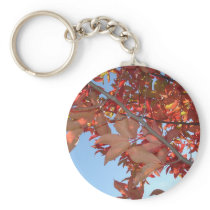 red autumn leaves
