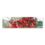 Red Azaleas and meaning bumper stickers