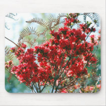 Red Azaleas and meaning Mousemats