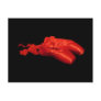 Red Ballet Shoes Postcard