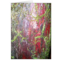 Red Bark Card