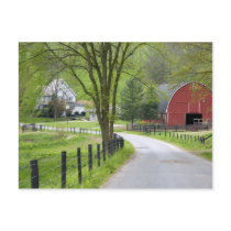 Red barn and farm house near Berlin, Ohio. Post Cards