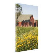 Red Barn Yellow Wildflowers Wrapped Canvas Print