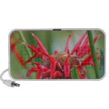 Red Bee Balm Flower Portable Speakers