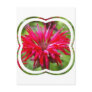 Red Bee Balm  Postcard