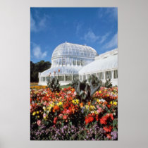 Red Belfast, Palm House, Botanical Gardens, Irelan Poster