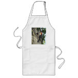 Red-bellied Woodpecker Aprons