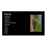 Red-bellied Woodpecker Business Card