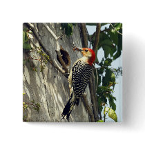 Red-bellied Woodpecker Pin