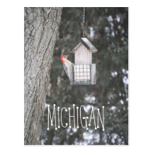 red-bellied woodpecker, MICHIGAN Postcard