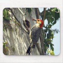 Red-bellied Woodpecker Mouse Mat
