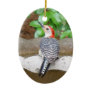 Red-bellied Woodpecker Christmas Tree Ornaments