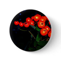 Red Berries Pin