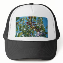 red berries cap mesh hats