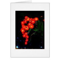 Red Berries Greeting Cards