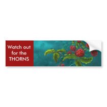 Red Berries in Green Background