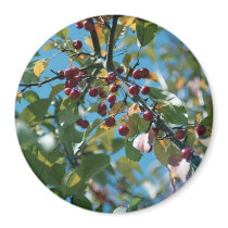 red berries magnet