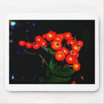 Red Berries Mousepads